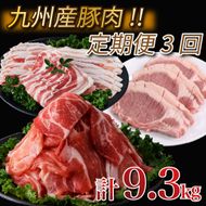 【定期便・全3回】九州産豚肉3種セット定期便(大容量 九州産豚肉 国産豚肉 炒め物 しゃぶしゃぶ とんかつ 焼肉 生姜焼き 肉じゃが カレー 豚汁)