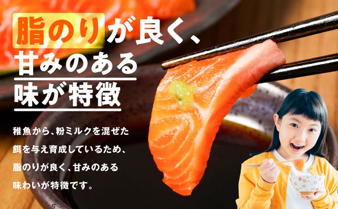 八代 教室育ちサーモン フィレ300g以上 サーモン 刺身 鮭 生食 魚 冷凍 海鮮 さけ サケ シャケ 熊本県 八代市