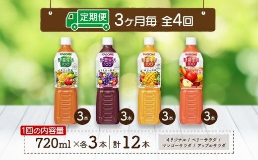 ns038-033　定期便 3ヵ月毎全4回 カゴメ 野菜生活100 飲み比べセット スマートPET 720ml  4種 計12本 オリジナル ベリーサラダ マンゴーサラダ アップルサラダ 野菜 果実 ミックスジュース 野菜ジュース フルーツジュース フルーツ 飲料 KAGOME 送料無料 那須塩原市