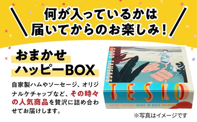 yꌧszTESIO̎Ɛn\[Z[W w܂nbs[BOXx ؓ n \[Z[W  ^pbN s / TESIO[BCAD019]