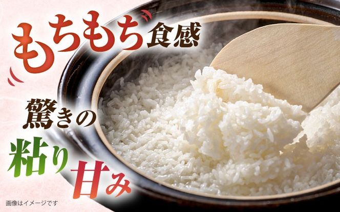 【精米方法が選べる！】ミルキークイーン 5kg （ 1袋 ） 糸島市 / 玄米・精米専門店 新飼宗一郎商店[ADE001]