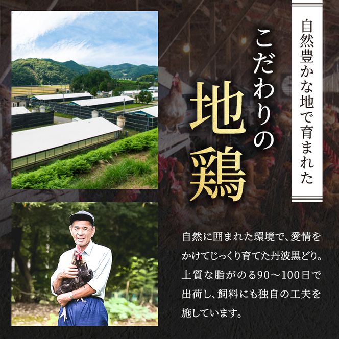 3ヶ月 定期便 地鶏 丹波 黒どり ムネ 2kg 鶏肉 冷凍 丹波山本 高タンパク低カロリー たんぱく質 ボリューム 筋トレ チキン 蒸し鶏 