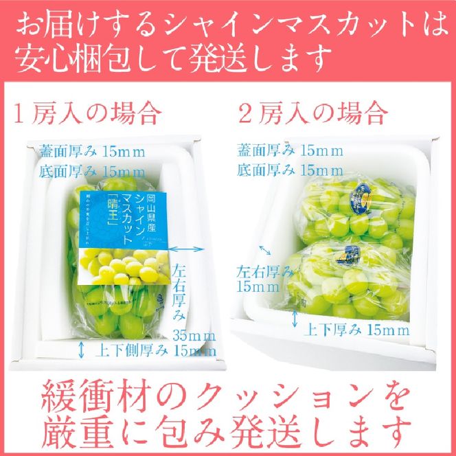 2026年 先行予約シャインマスカット 晴王 1房約720g 9月～10月出荷/ 岡山県産 種無し 皮ごと食べる みずみずしい フレッシュ 晴れの国 おかやま　 果物大国 彩美菜果