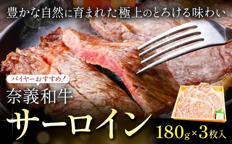 奈義和牛 サーロイン バイヤーおすすめ! 180g × 3枚 株式会社 天満屋[30日以内に出荷予定(土日祝除く]岡山県 笠岡市 和牛 牛肉 肉 ステーキ 自宅用 贈答用 送料無料---T-31---