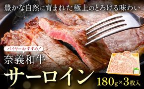 奈義和牛 サーロイン バイヤーおすすめ！ 180g × 3枚 株式会社 天満屋《30日以内に出荷予定(土日祝除く》岡山県 笠岡市 和牛 牛肉 肉 ステーキ 自宅用 贈答用 送料無料---T-31---