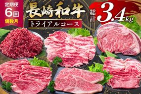 AJ669 【6回定期便】長崎和牛 トライアルコース [ 長崎和牛 和牛 お肉 肉 牛 牛肉 国産 ステーキ 焼肉 もも ロース すき焼き しゃぶしゃぶ サーロイン カルビ ミンチ ひき肉 水田精肉店 長崎県 島原市 ]