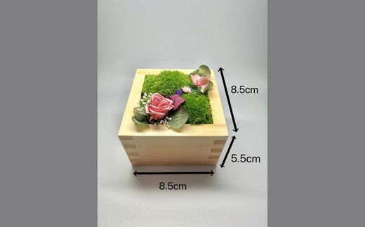 升コケ‐大‐(インテリア グリーン 観葉 植物苔 こけ コケ)【002426】