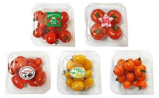 御殿場プチトマト ミックス6パック（約1.2kg） ※～2026年7月発送