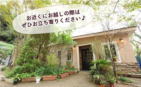 【全12回定期便】一貴山 豚ロース 味噌漬け 6枚 糸島市 / いきさん牧場 [AGB021]