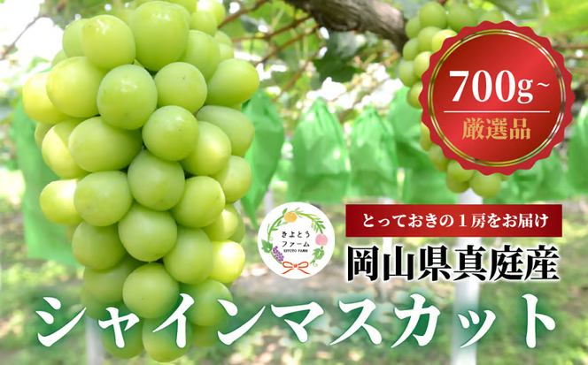 【2026年先行予約】厳選品 大粒シャインマスカット1房/700g以上 (岡山県産) 【KF-B060-03】