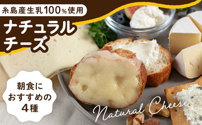 糸島産生乳100％使用 手作り チーズ 4種 TAKセレクト【モーニング】 糸島市 / 糸島ナチュラルチーズ製造所TAK-タック-[AYC014]