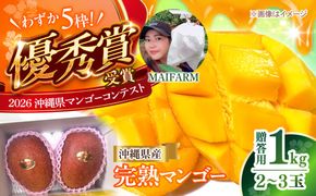 【先行予約】【優秀賞受賞】沖縄県産 完熟マンゴー 贈答用 1kg (2〜3玉) マンゴー 沖縄 果物 フルーツ ギフト 沖縄市 / MAIFARM[BCAN001]