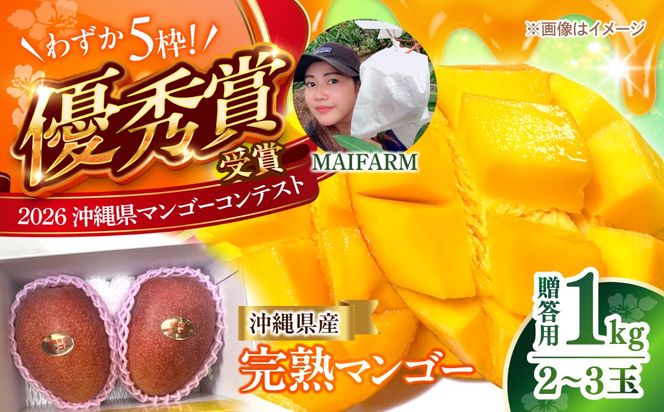 【先行予約】【優秀賞受賞】沖縄県産 完熟マンゴー 贈答用 1kg (2〜3玉) マンゴー 沖縄 果物 フルーツ ギフト 沖縄市 / MAIFARM[BCAN001]