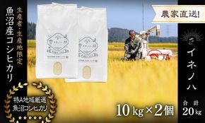 【令和7年産】 魚沼産コシヒカリ 「イネノハ 」精米(10kg×2) お米 白米 ご飯 産地直送 ミネラル 栄養分 こだわり 人気 新鮮 