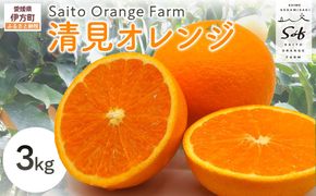 【先行予約】Saito Orange Farmの清見オレンジ3kg ※着日指定不可（2026年3月中旬頃より順次発送） IKTAQ006