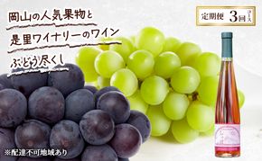 定期便 2026年 先行予約 岡山の人気果物と是里ワイナリーのワイン ぶどう尽くし 3回コース ぶどう ピオーネ ワイン シャインマスカット 晴王 赤磐市