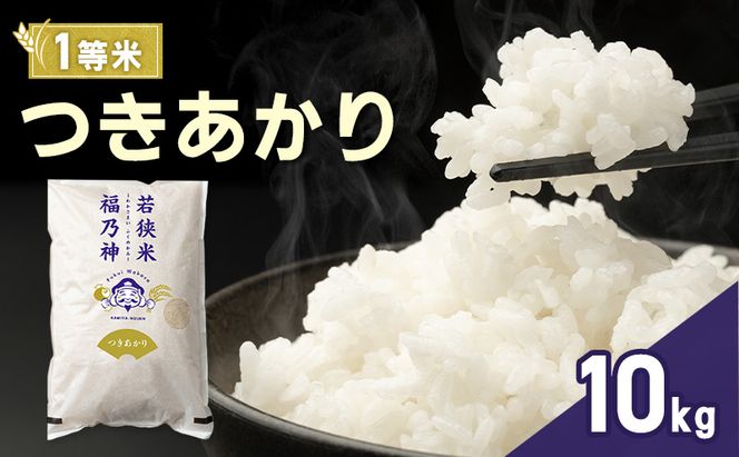 令和7年産 つきあかり 10kg（一等米・神谷農園） 米 お米 若狭町
