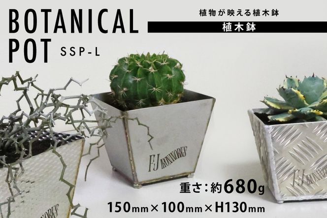 y{錧CszAؔ BOTANICAL POT SSP-L 1_ [cSH {錧 Cs 20565002] v^[  A   A AKx XeX   K[f DIY A  ϗtA i`