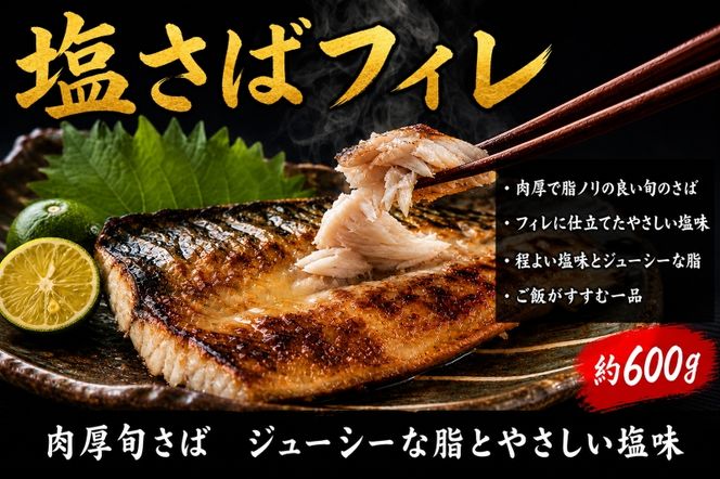 【ご家庭用訳あり】人気の塩さばフィレ＆紅鮭切身セット計1kg/ 和歌山 魚 さば 鮭 ※離島への配送不可【uot796C】