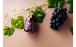 【テレビで紹介】愛知 知多コーラ-ぶどう-　ぶどうのクラフトコーラ 240ml 1本 コーラ シロップ 飲料 ドリンク 炭酸割り ソーダ割り ミルク割り お酒 アイス アレンジ可能 相性抜群 愛知県産 ぶどう 人気 おすすめ 大府市 232238_DJ005