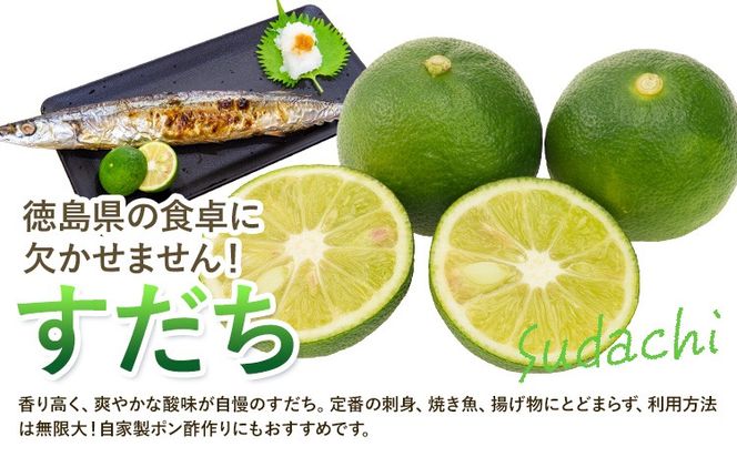 令和8年度果樹オーナー権（すだち）---sanagouchi_sko_7_1k---