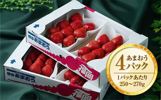 【期間限定発送】 いちご あまおう 福岡産あまおう 冬 4パック [南国フルーツ 福岡県 宇美町 um40azo970001] イチゴ 苺 フルーツ 果実 甘い 小分け