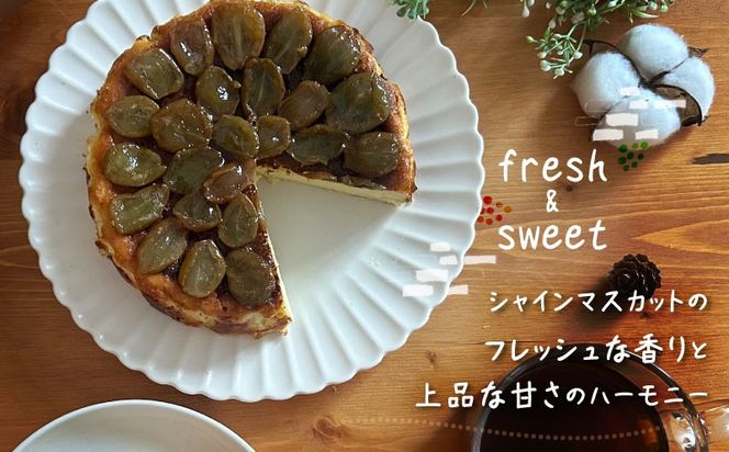 FB018　シャインマスカットバスクチーズケーキ
