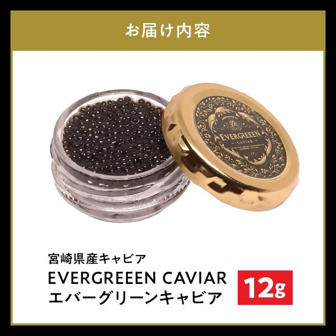 宮崎県産キャビア　EVERGREEEN　CAVIAR　エバーグリーンキャビア　12g　N0183-YC221