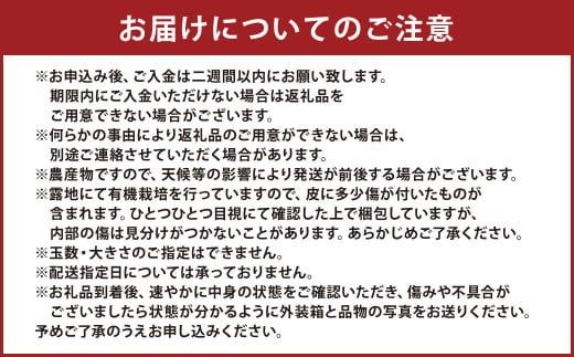 【先行受付】特別栽培不知火 5kg サイズミックス  特別栽培 不知火 柑橘 デコポン でこぽん フルーツ 果物 果実 九州産 熊本県産【2026年3月上旬から4月上旬発送予定】