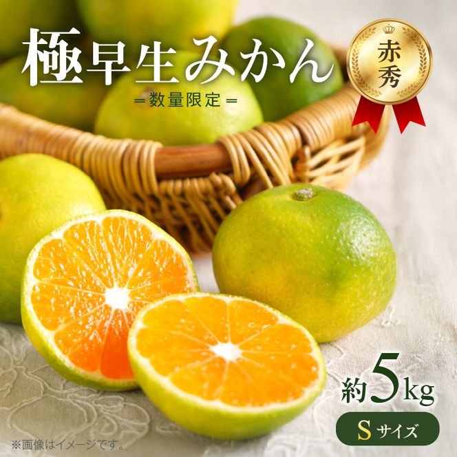  極早生みかん 5kg 赤秀 Sサイズ【ミカン 蜜柑 柑橘 温州みかん 有田みかん 贈答 ギフト わせみかん 和歌山】_BF6036n