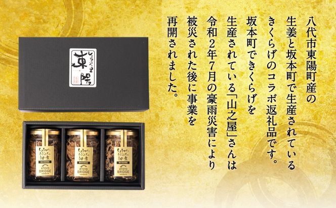 生姜ときくらげの佃煮 3本セット 生姜 きくらげ 佃煮 つくだに おかず 朝ごはん ご飯のお供 和食 八代市 東陽町