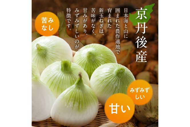 【訳あり】新たまねぎ 3kg JA00093