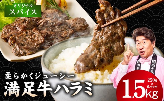 G5280 【満足牛ハラミ】オリジナルスパイス仕込み 合計1.5kg 【スピード発送 味付け ハラミ 小分け 焼くだけ 簡単調理 BBQ 牛肉 250g×6P 普段使い】