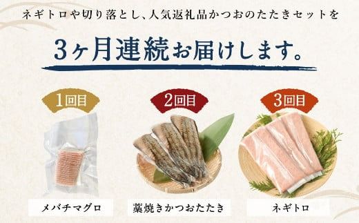 定期便3回 カツオとマグロ堪能定期便B お楽しみ 切り落とし 刺身 刺し身 鮪 鰹 まぐろ カツオのたたき ネギトロ 海鮮 魚 惣菜 海産物 魚介類 魚貝 高知県 まぐろたたき 冷凍 訳あり 不揃い 傷 規格外 故郷納税 どんぶり お手軽 便利 30000円 室戸 all tk013!