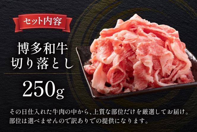 牛肉 訳あり A4 A5 博多和牛 切り落とし 250g [木村食品 福岡県 宇美町 um40beg040039] 訳アリ 牛 肉 牛バラ 肩肉 バラ肉