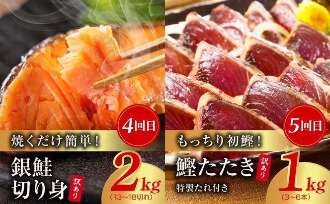 kgpZ018 海鮮食べ比べ 定期便 全5回 総量6kg以上【サーモン ブラックタイガー 銀鱈 銀鮭 鰹 訳あり サイズ不揃い 小分け 惣菜】