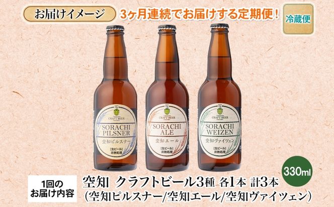 【3ヵ月定期便】滝川クラフトビール 空知地ビール 3種セット 3本 計9本 ビール 地ビール クラフトビール バーベキュー 飲み比べ 晩酌 宅飲み 家飲み アウトドア 送料無料 北海道 滝川市