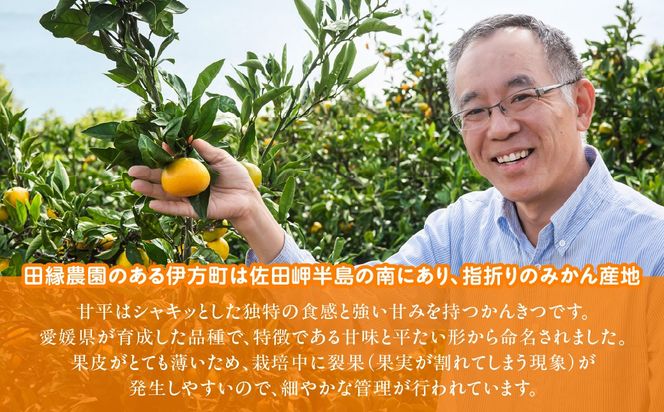【先行予約】【数量限定】田縁農園の甘平（かんぺい）2kg ※離島への配送不可 （2027年1月25日より順次発送） IKTA028