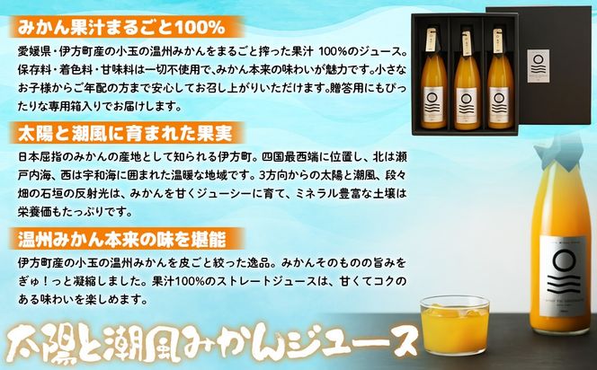 【先行予約】【愛媛県産】太陽と潮風みかんジュース（720ml×3本） 果汁100％（2025年12月より発送予定） IKTI010