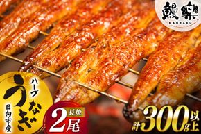 宮崎県産 ハーブ うなぎ 蒲焼 2尾 計300g 以上 タレ山椒付き [鰻楽 宮崎県 日向市 452061650] 真空パック 国産 蒲焼き 長焼き ウナギ 鰻 長蒲焼 冷凍 化粧箱入り 贈答 小分け