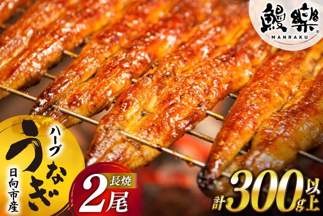 宮崎県産 ハーブ うなぎ 蒲焼 2尾 計300g 以上 タレ山椒付き [鰻楽 宮崎県 日向市 452061650] 真空パック 国産 蒲焼き 長焼き ウナギ 鰻 長蒲焼 冷凍 化粧箱入り 贈答 小分け