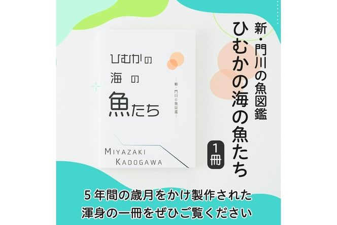 新・門川の魚図鑑(1冊)お魚 知育 学習 本 書籍【AI-3】【門川町地域振興課】