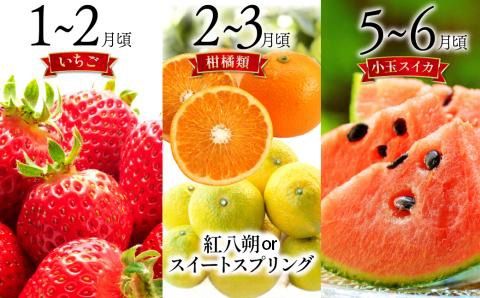 【6回定期便 Aコース】フルーツ定期便 旬のフルーツセット/ いちご 柑橘類 スイカ メロン 梨 キウイ / 南島原市 / 長崎県農産品流通合同会社 [SCB065]