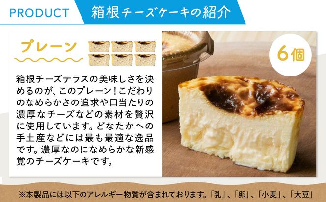 箱根発！なめらか濃厚バスクチーズケーキ 箱根チーズテラス・カプチ 【プレーン6個セット】 142069_JF002