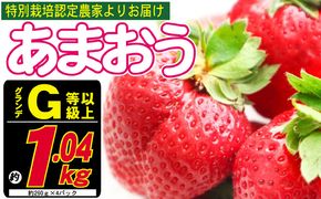あまおう G以上 約1.04kg 約260g×4パック ※配送不可：北海道・東北・沖縄・離島 果物 苺 フルーツ デザート 旬 大粒 グランデ等級以上 旬のあまおう 福岡の特産品 