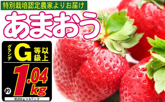 あまおう G以上 約1.04kg 約260g×4パック ※配送不可：北海道・東北・沖縄・離島 果物 苺 フルーツ デザート 旬 大粒 グランデ等級以上 旬のあまおう 福岡の特産品 