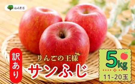 【先行予約】 【訳あり】サンふじ 約5kg(11〜20玉）（2025年12月中旬から発送） (7-A39-2) 長野県 飯山市 おすすめ ランキング おいしい 高評価 大人気