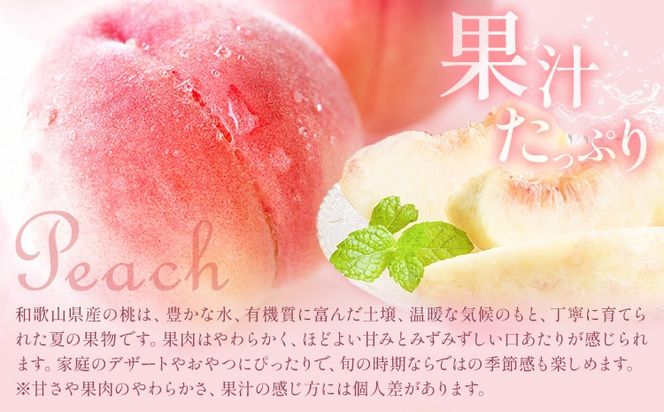 紀州 和歌山県産 旬の フルーツ セット ミニ 2ヶ月定期便 8月・9月配送 桃 3玉 梨 3玉 株式会社魚鶴商店《8月-9月頃出荷》和歌山県 日高川町 もも なし 定期便 果物 旬---wshg_uot102tei_26_20000_89y2---