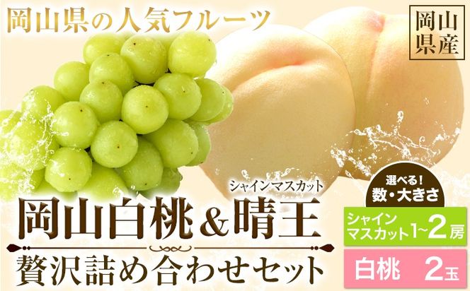 【先行予約】岡山白桃 & シャインマスカット（晴王）セット 選べる サイズ 数 有限会社ホーティカルチャー神島《7月上旬-8月中旬頃出荷》岡山県 笠岡市 桃 白桃 もも 岡山白桃 シャインマスカット マスカット ぶどう 晴王【配送不可地域あり】---H-79---