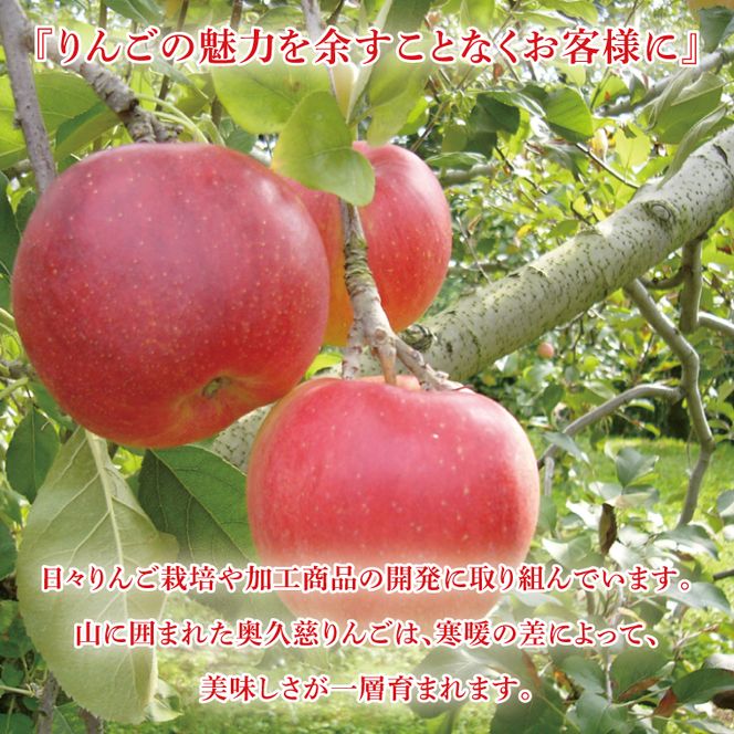 【藤田観光りんご園】スパークリング 林檎 375ml (箱入り)× 2本 セット 果汁50％ ふじりんご100％使用(BJ002)